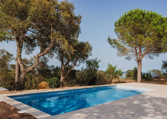 Ventisca * 플라티야 다로